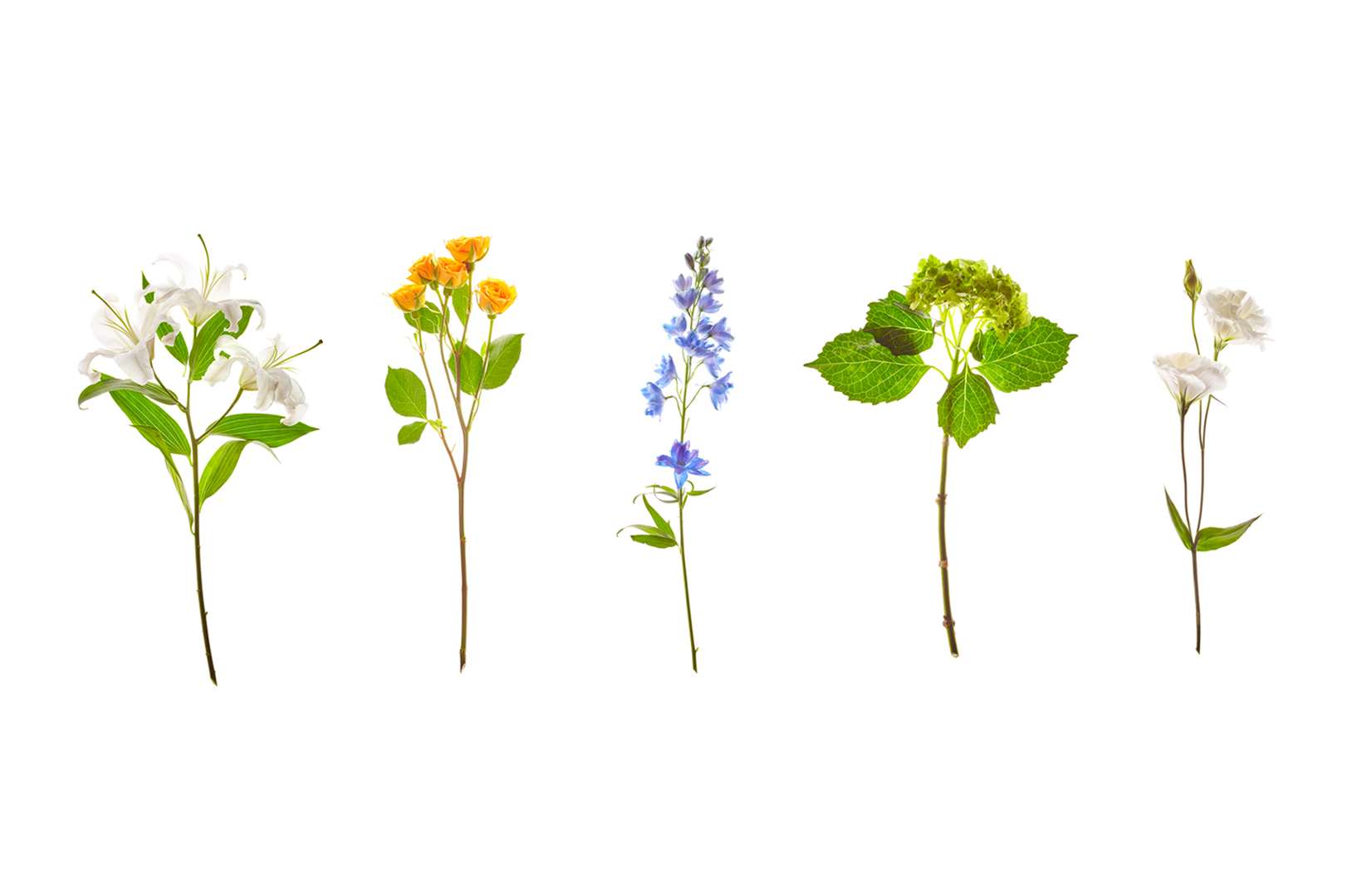 Bouquet